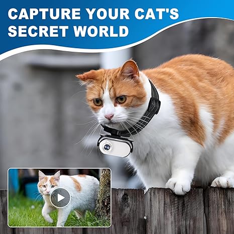 Pet Collar Camera