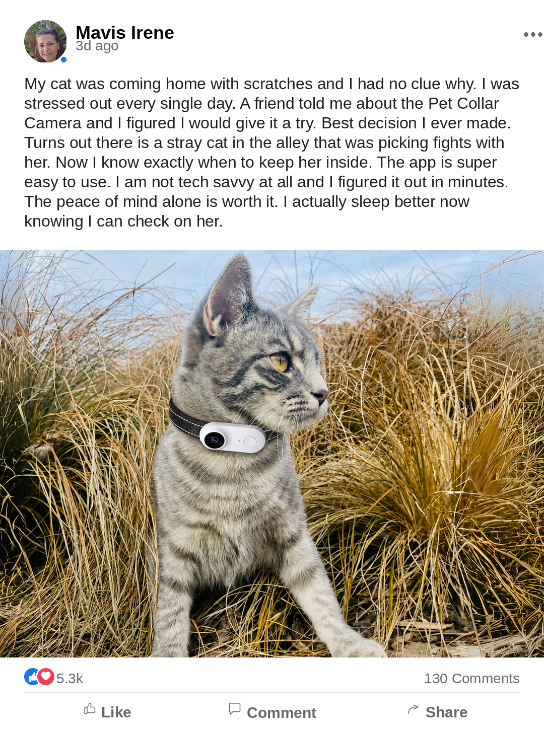Customer review