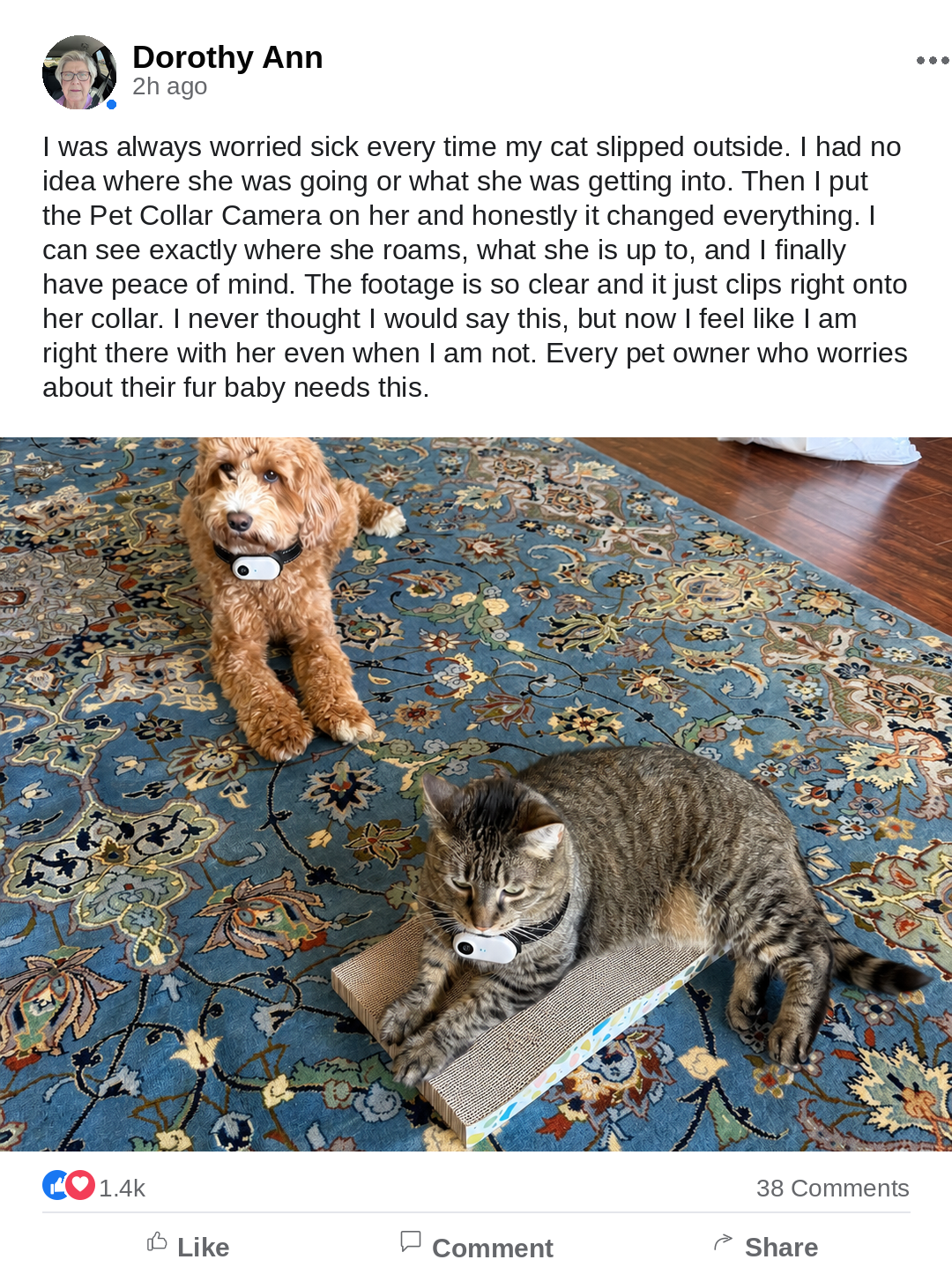 Customer review